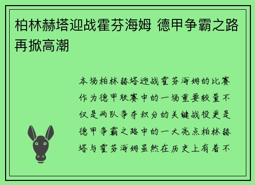 柏林赫塔迎战霍芬海姆 德甲争霸之路再掀高潮