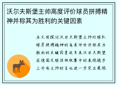 沃尔夫斯堡主帅高度评价球员拼搏精神并称其为胜利的关键因素