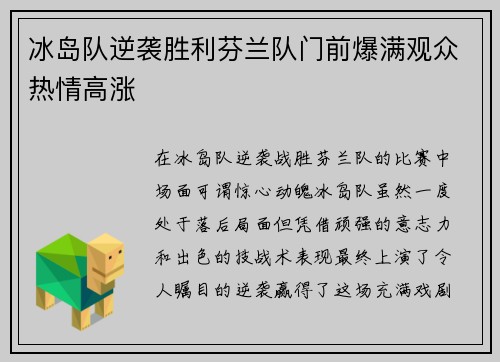 冰岛队逆袭胜利芬兰队门前爆满观众热情高涨