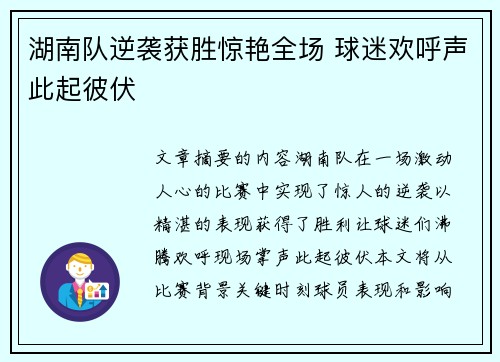 湖南队逆袭获胜惊艳全场 球迷欢呼声此起彼伏